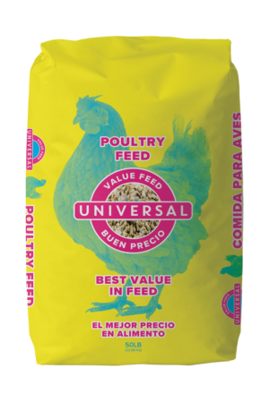 Poultry Layer Pellet